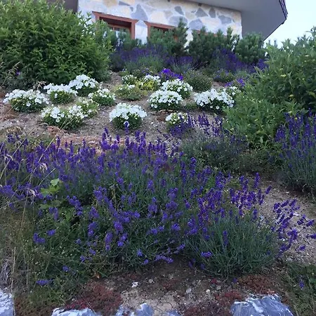 Chalet D Alpstuga Anzère